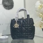Dior Toujours