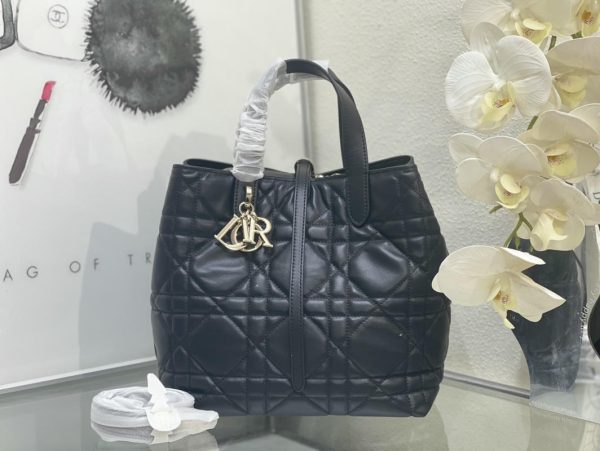 Dior Toujours
