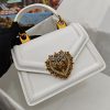 DG Small Devotion bag in python skin (1)