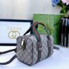 Mini GG handbag (9)