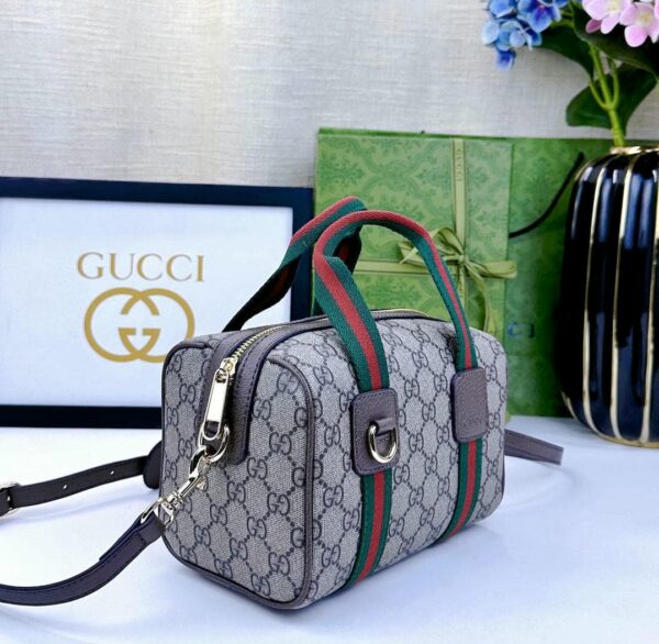 Mini GG handbag (9)