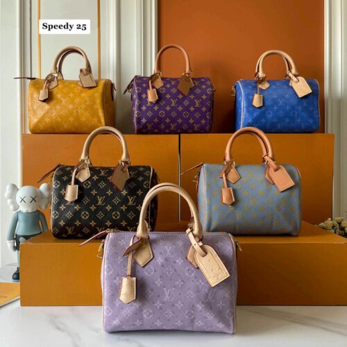 Speedy Bandoulière 25 6 colors (1)